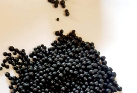 WhatsApp Image 2021-08-21 at 8.58.55 PM (1).jpg