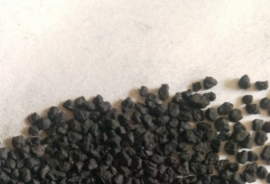 WhatsApp Image 2021-08-21 at 9.04.24 PM.jpg